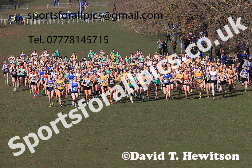 Senior womens 2025 UK CAU Inter Counties Cross Country Champs., Wollaton Park, Nottingham. Photo: David T. Hewitson/Sports for All Pics